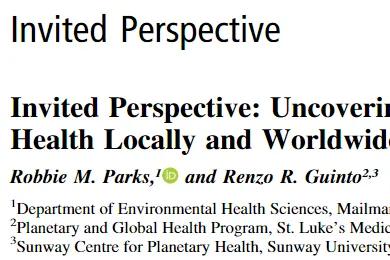 Invited Perspective: Uncovering the Hidden Burden of Tropical Cyclones on PublicHealth Locally and Worldwide
