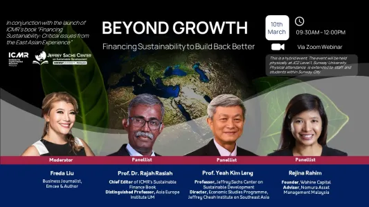 Beyond Growth: Financing Sustainability to Build Back Better
