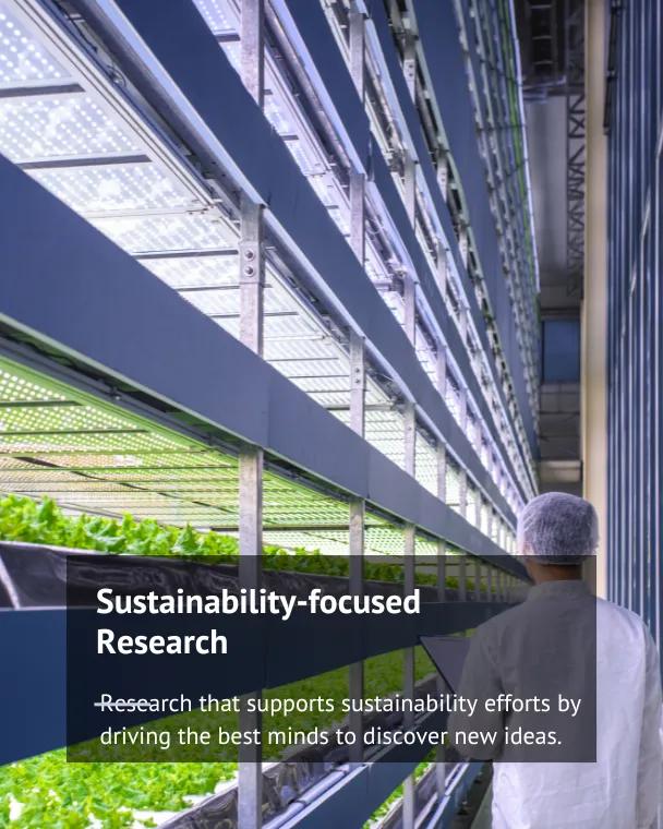 sustainability research